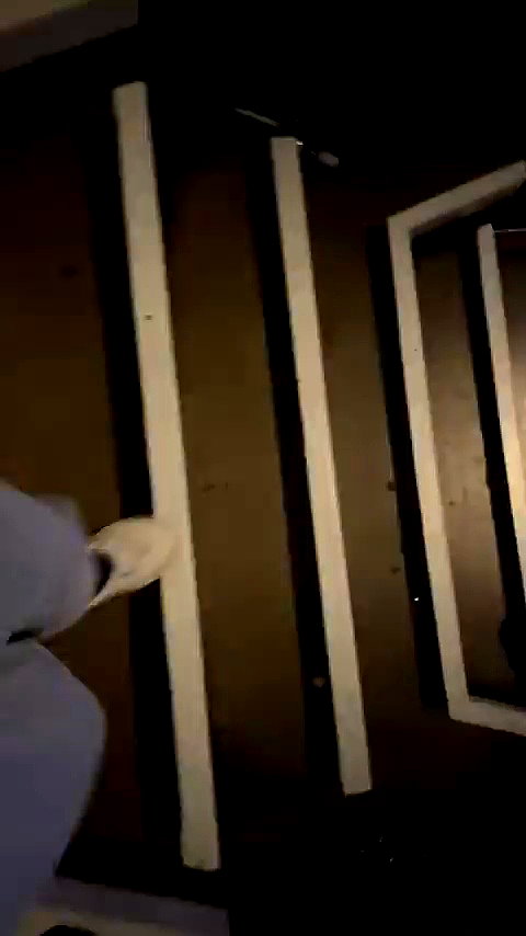 mira.0004 archive video preview