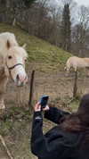 tooonytoony Altpins Profile Picture