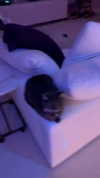 rinnibunnyy Altpins Profile Picture