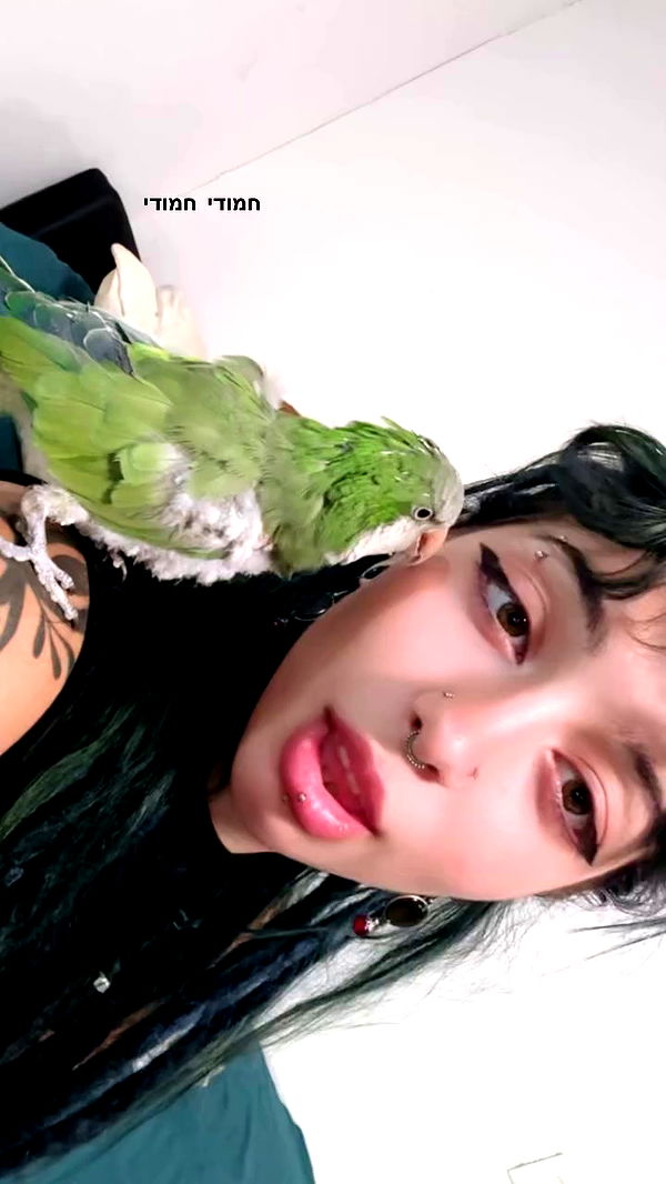 romy_ayalla_lavi archive video preview