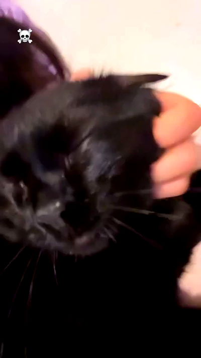 hellokittyangel666 hellokittyangel666 archive video