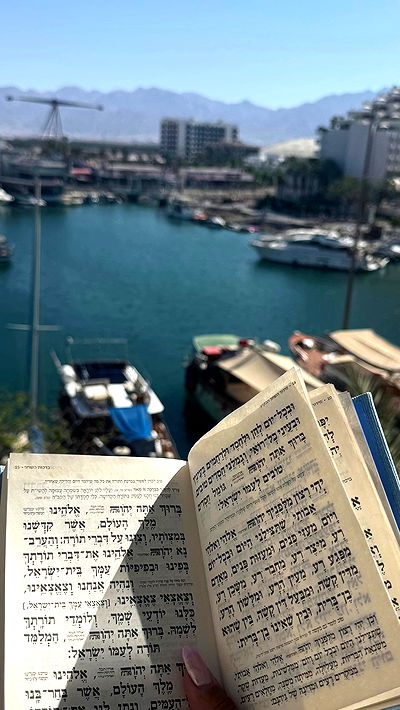 holllly.molly holllly.molly archive video