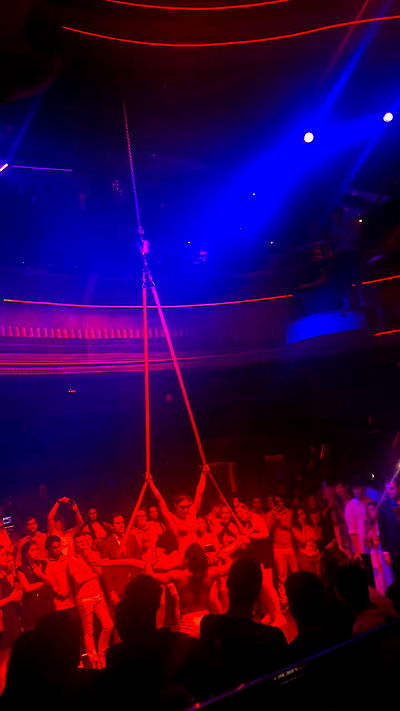 diana_polin diana_polin archive video