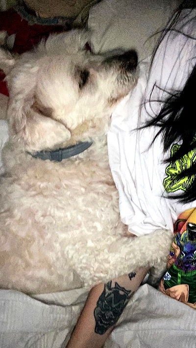 feelbetterinmysweater feelbetterinmysweater archive video