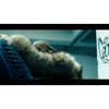 beyonce Altpins Profile Picture