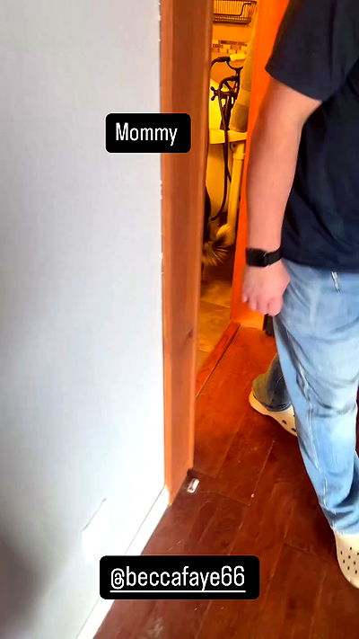 laylafleet1 laylafleet1 archive video