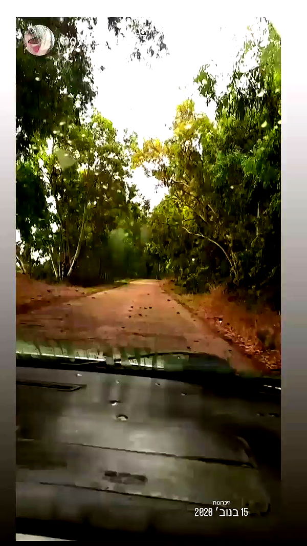 noyaislilith333 archive video preview