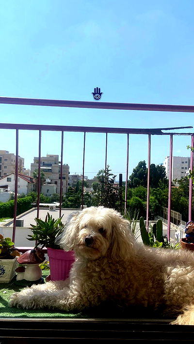 feelbetterinmysweater feelbetterinmysweater archive video