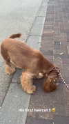 netabar Altpins Profile Picture