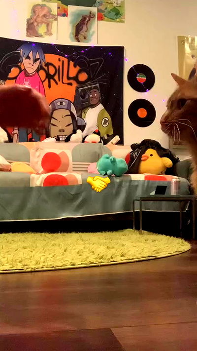 winbun.io winbun.io archive video