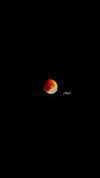 moon._.aquarian_ Altpins Profile Picture