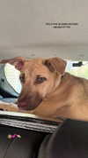veronika_grish Altpins Profile Picture