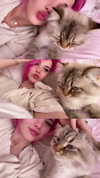 missy.ts Altpins Profile Picture