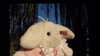ifkissescouldleavecuts Altpins Profile Picture