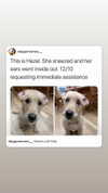 emily_new2 Altpins Profile Picture