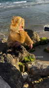 beth.sharonu Altpins Profile Picture