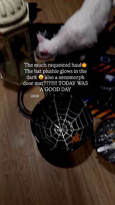 nikkibitez nikkibitez archive video