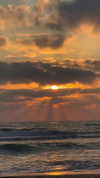 roni_ackerman Altpins Profile Picture