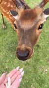 ti_joyy Altpins Profile Picture