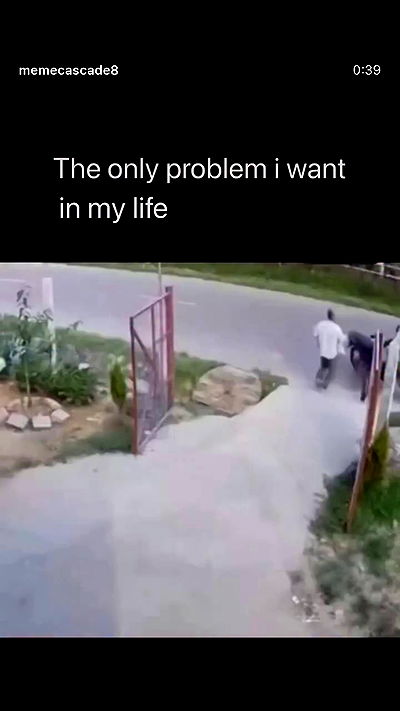 romy_ayalla_lavi romy_ayalla_lavi archive video