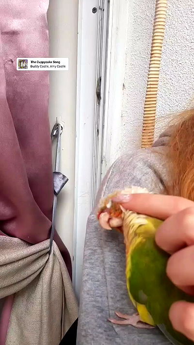 tinapavlov.sky tinapavlov.sky archive video