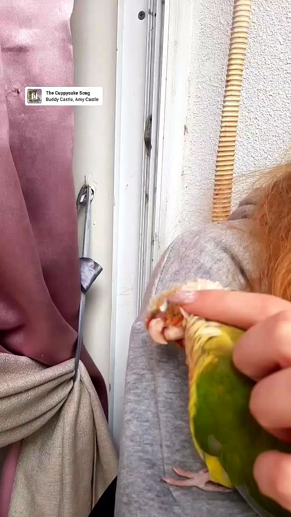 tinapavlov.sky archive video preview