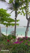 amit.yaron Altpins Profile Picture