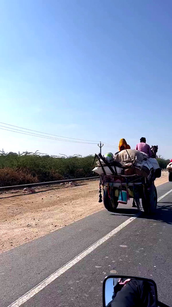 noa.c___ archive video preview