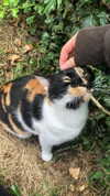 tarantvlagrll Altpins Profile Picture