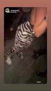 shaniii.1 Altpins Profile Picture