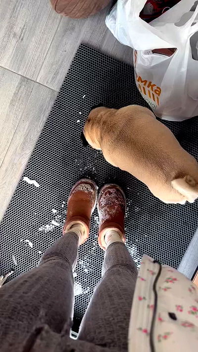 nyityam nyityam archive video