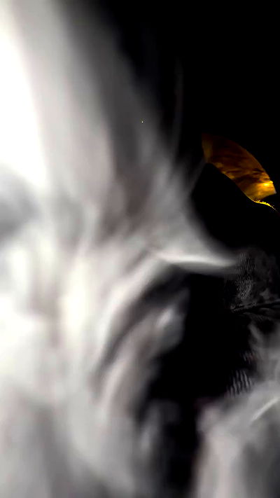 zommmbri zommmbri archive video