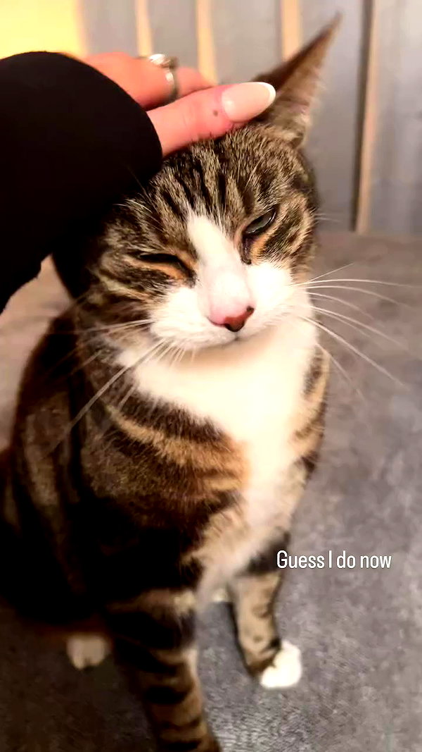 emmmarshalll archive video preview