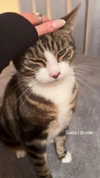 emmmarshalll Altpins Profile Picture