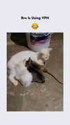 courtney2love Altpins Profile Picture