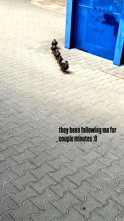 vwnrottie vwnrottie archive video