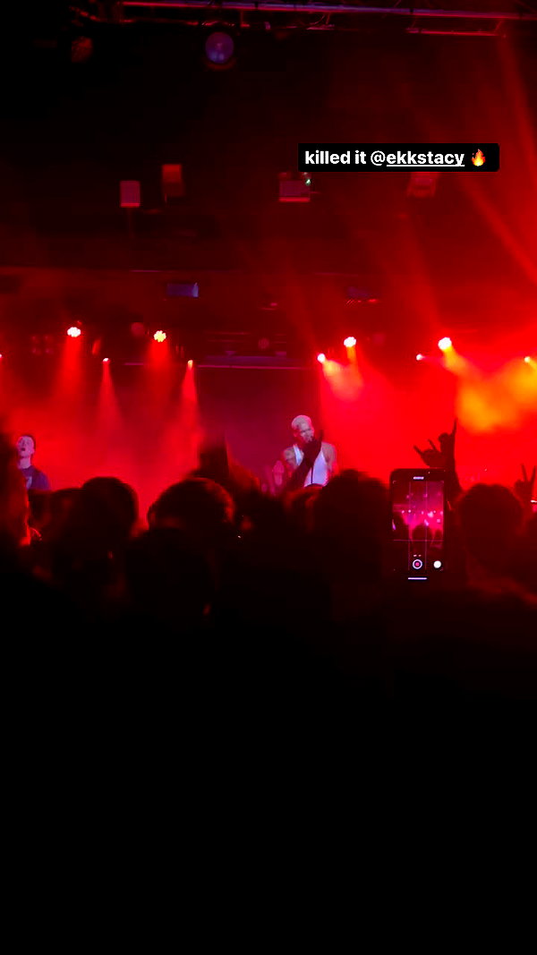 zaperwave archive video preview