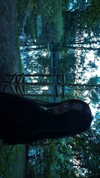 kouda.gr Altpins Profile Picture