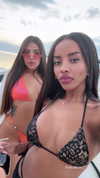 diana_tal_ Altpins Profile Picture