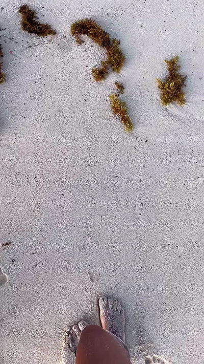 shunli__mei shunli__mei archive video