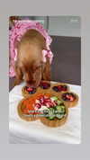 emily_new2 Altpins Profile Picture