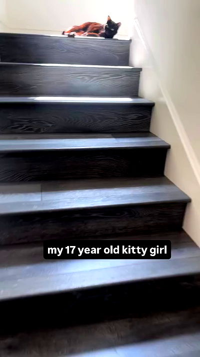 little.warren_ little.warren_ archive video