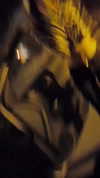 may__benlulu Altpins Profile Picture