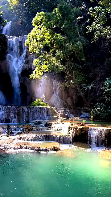 ellamwatts_ archive video preview