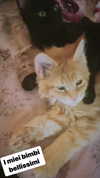 calyen Altpins Profile Picture