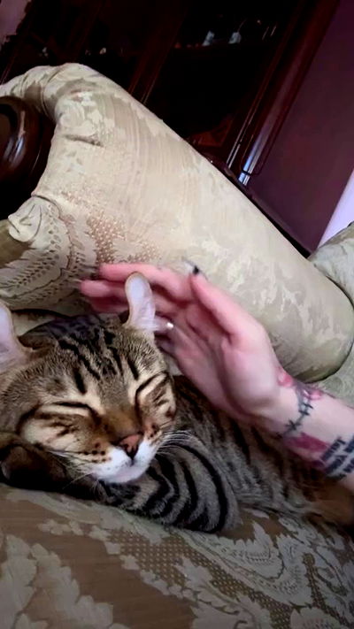 laurinchhhe laurinchhhe archive video