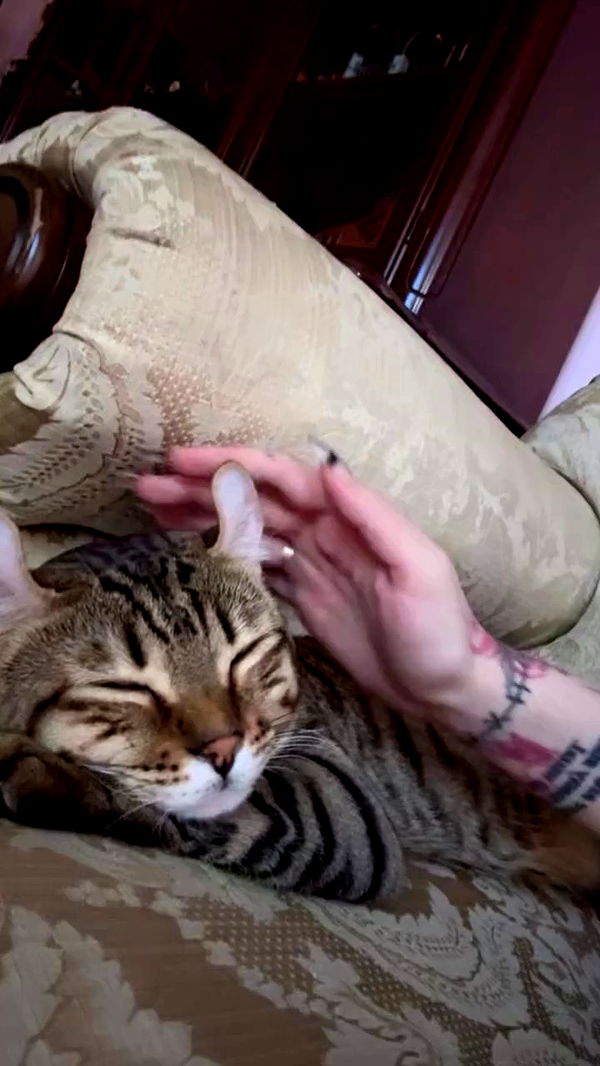 laurinchhhe archive video preview