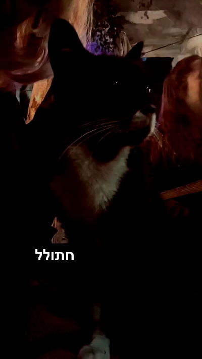 ronyida_ ronyida_ archive video