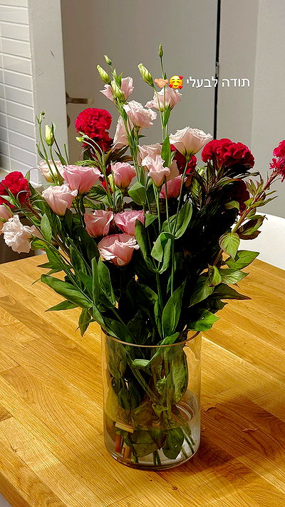 itsilanosh itsilanosh archive video