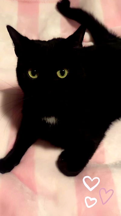 juliaelzz juliaelzz archive video